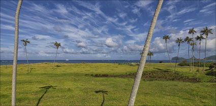 Lord Howe Island - NSW T (PBH4 00 11780)